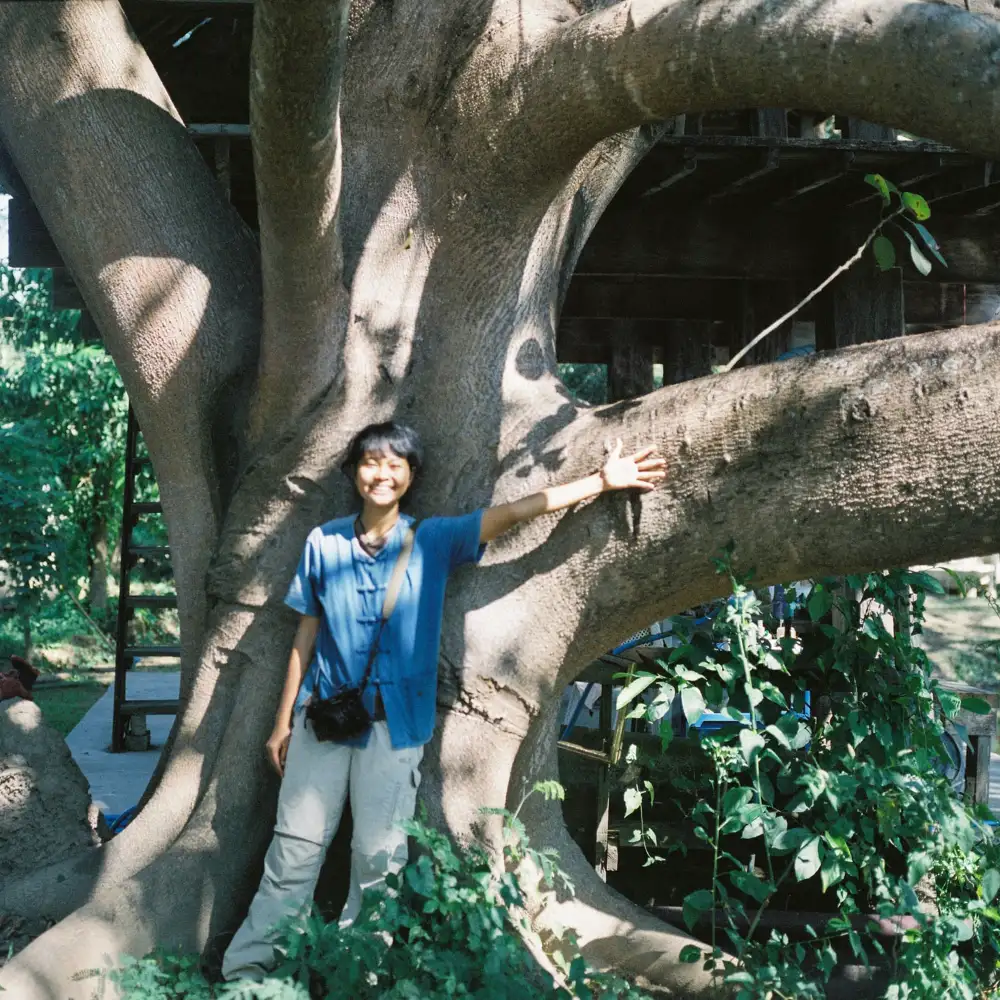 big tree