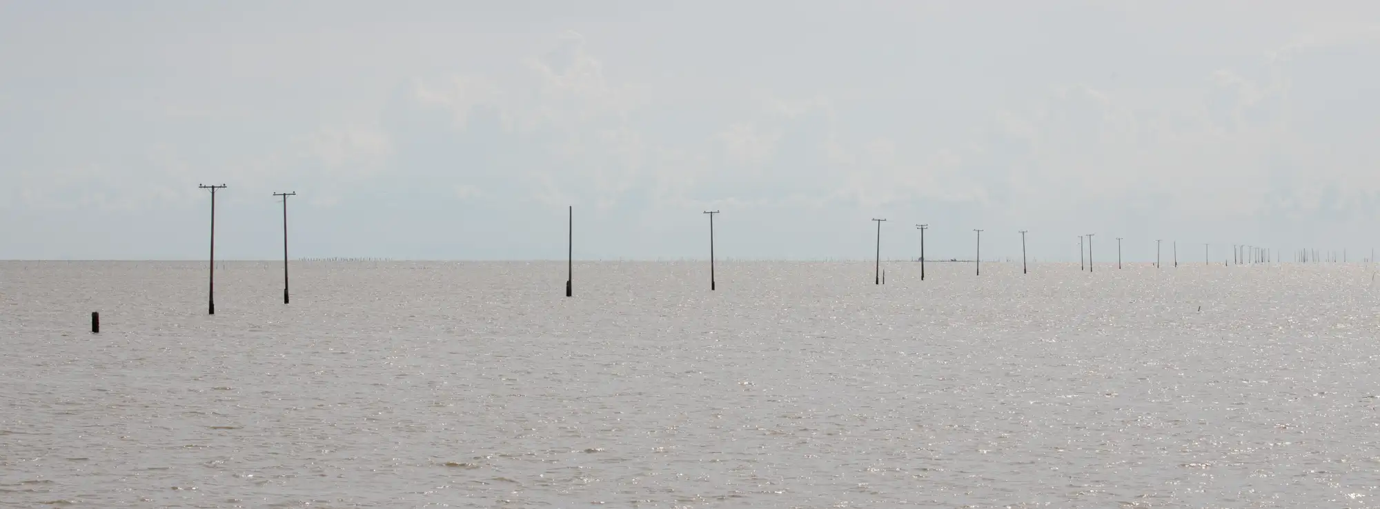 A panoramic view of a vast savannah