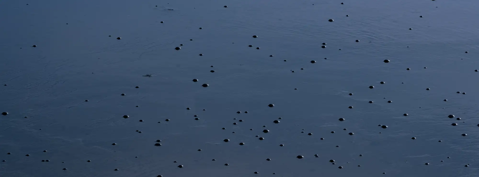 A panoramic view of a volcanic landscape
