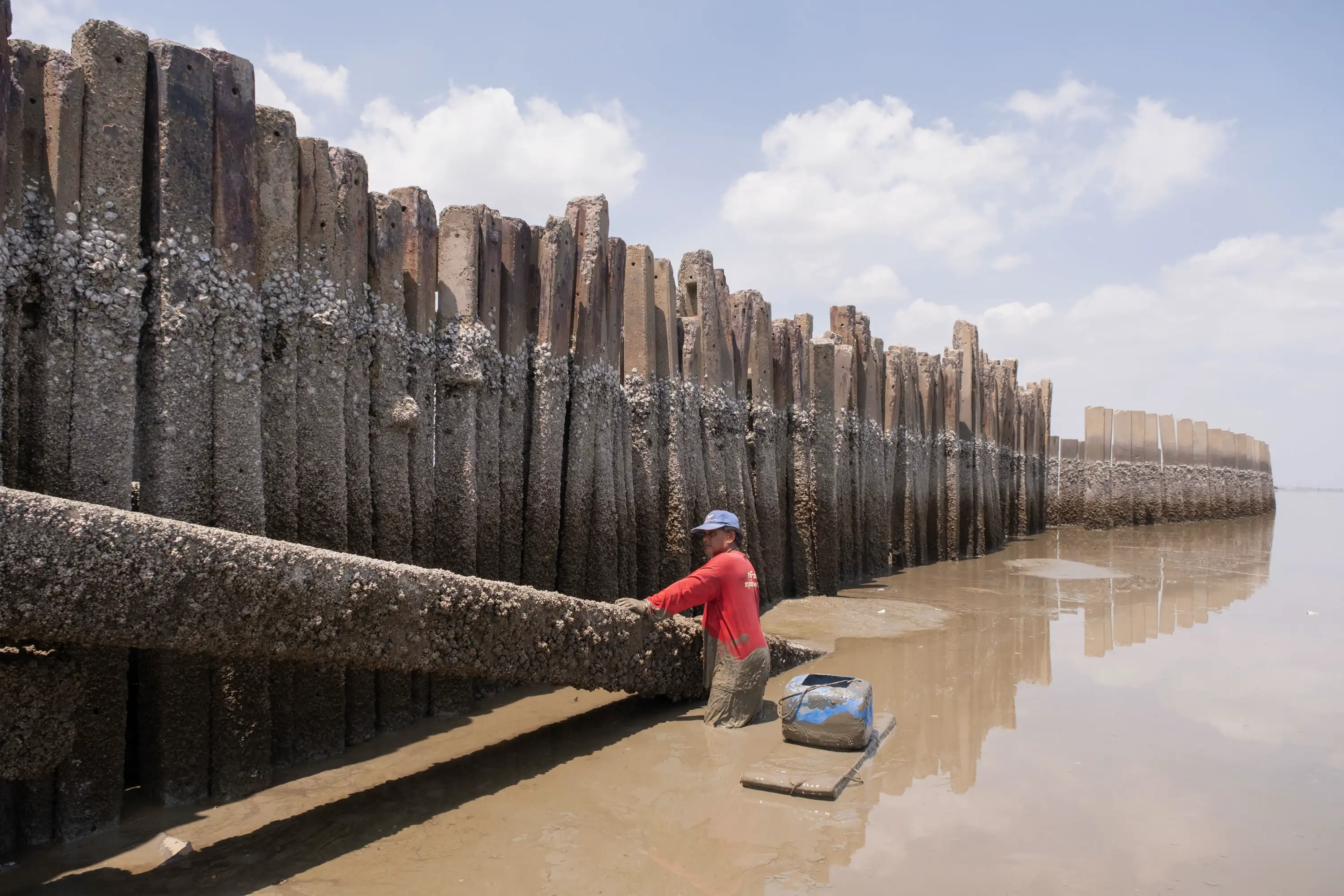 Parallel World Thailand, 2025
