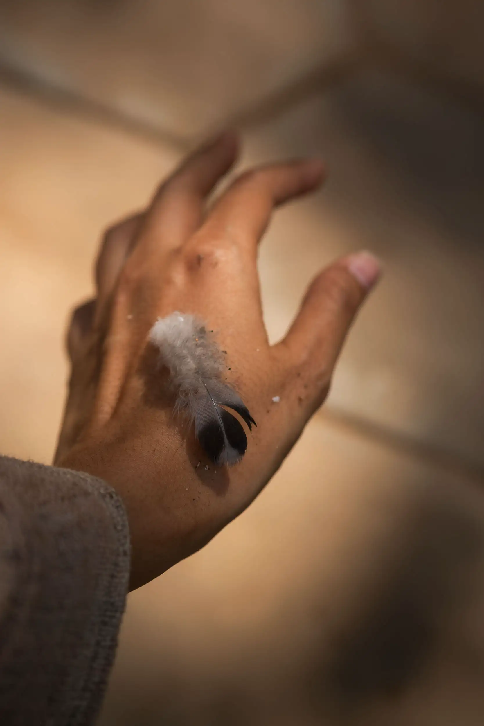 Feature on hand