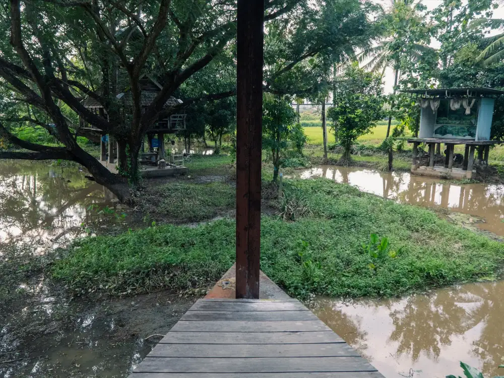 Flood in Garden