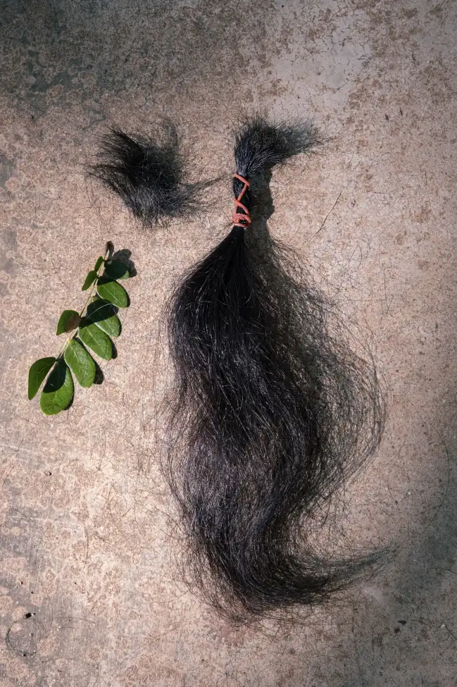 hair and leaves