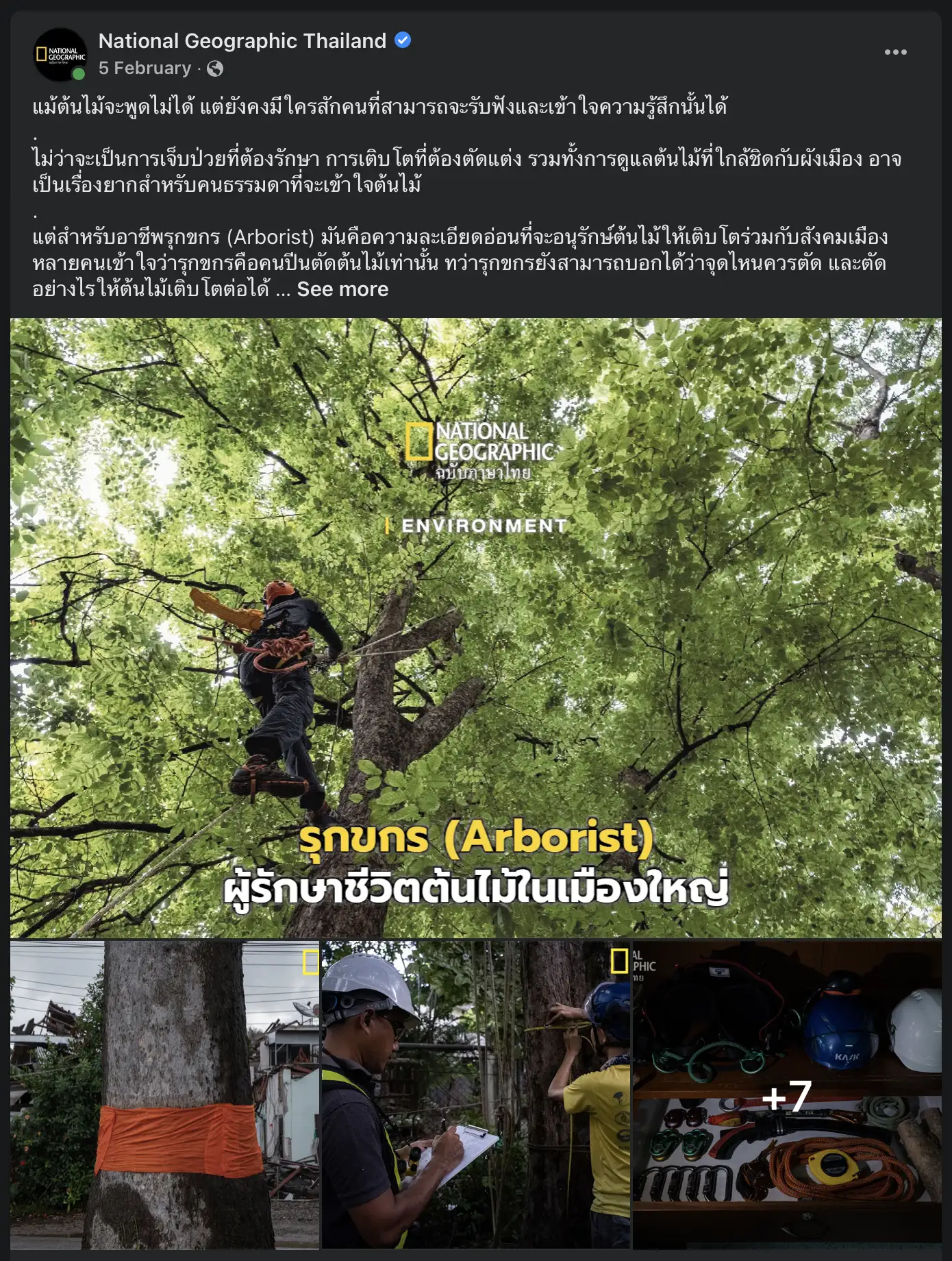 Tear Sheet Arborist