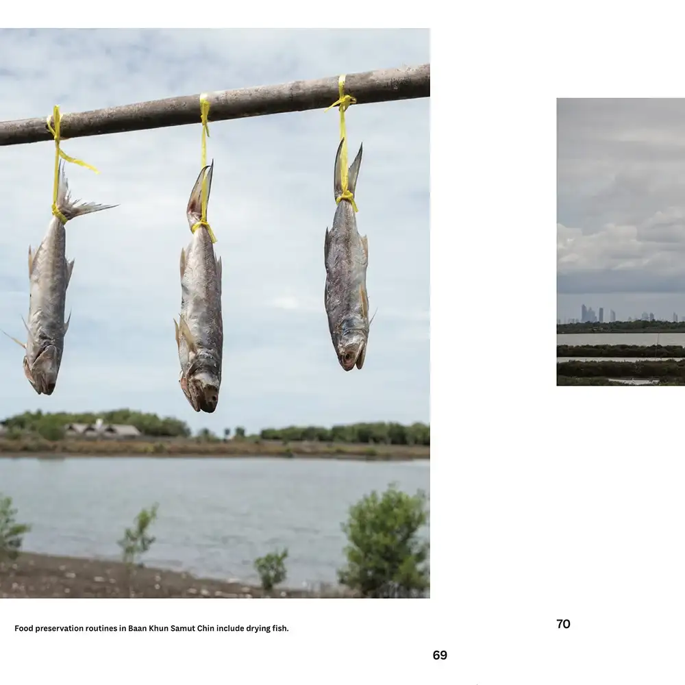 Tear Sheet