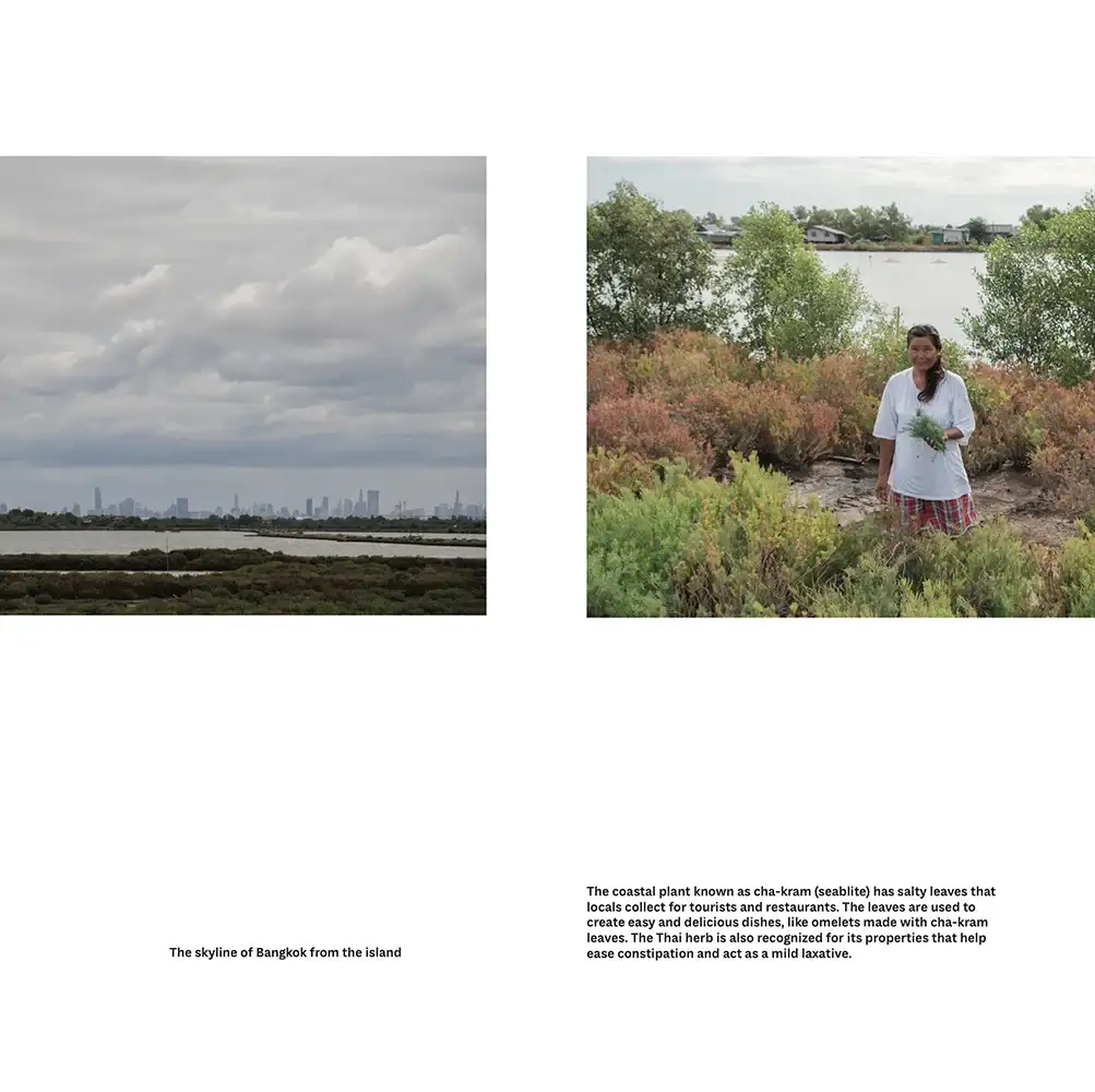 Tear Sheet