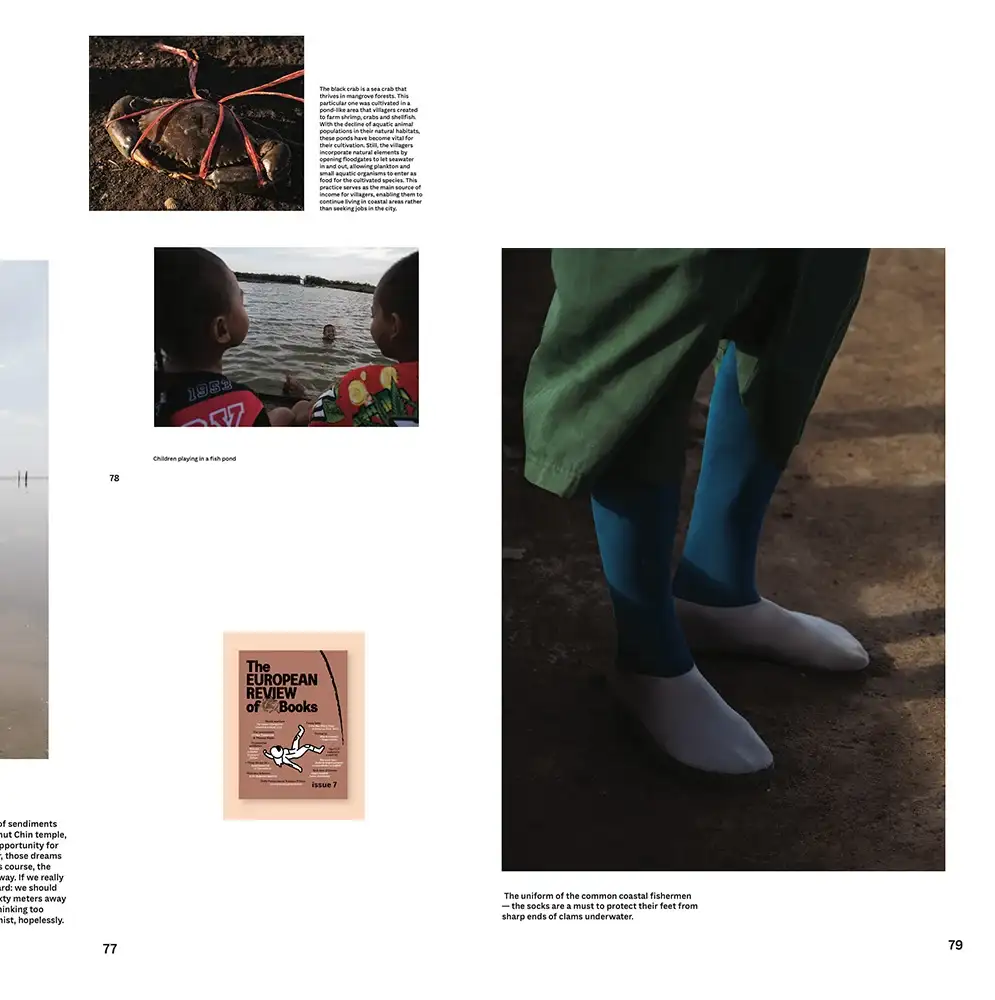 Tear Sheet
